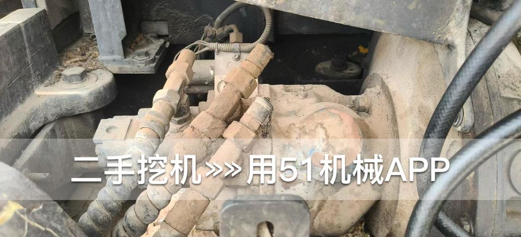 https://assets.gongji58.com/circle/2026-06-10/b9hdy54i5r1781079782.png?watermark/1/image/a29kbzovL2dqZ2ovd2F0ZXJtYXJrL3dqLnBuZw/gravity/South/dx/0/dy/200/wst/2/ws/1|imageView2/0/w/1024/interlace/1